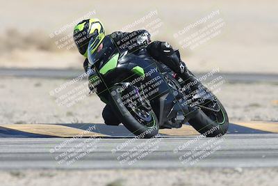 media/Oct-13-2025-Moto Forza (Mon) [[a66d839500]]/3-B Group/Session 4 Turn 4 Tree of Life/